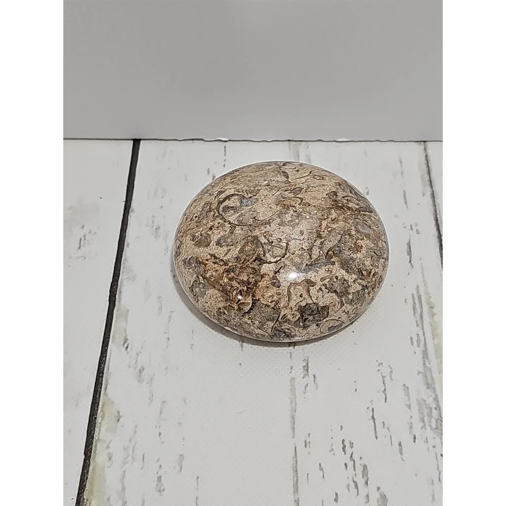 POLISHED SHELL FOSSIL PAPERWEIGHT. 3